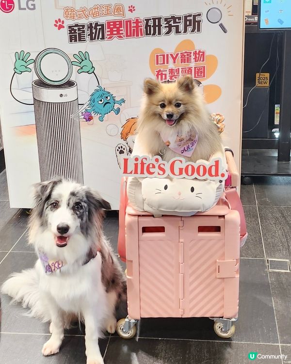 LG 韓式喵汪圈:寵物異味研究所🐱🐶 🕵🏻