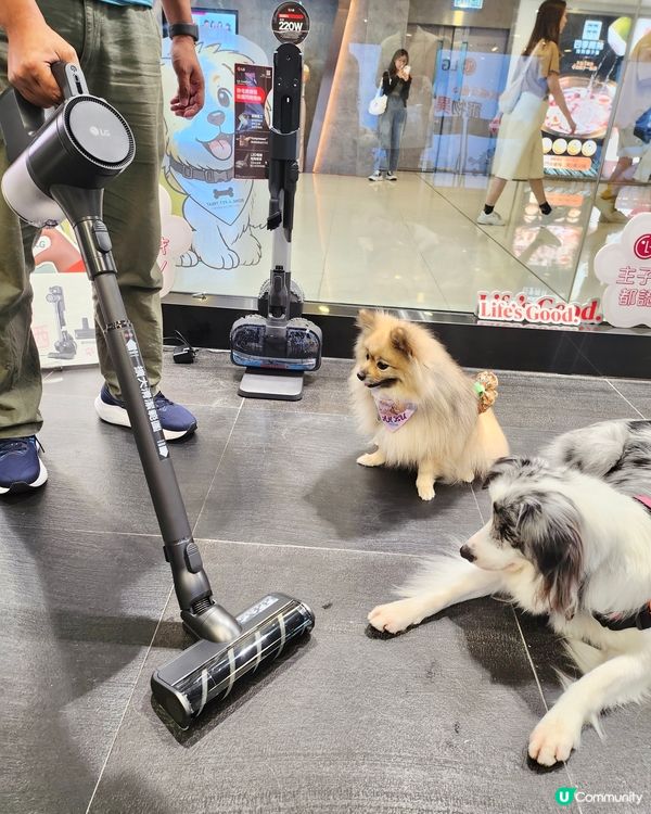 LG 韓式喵汪圈:寵物異味研究所🐱🐶 🕵🏻