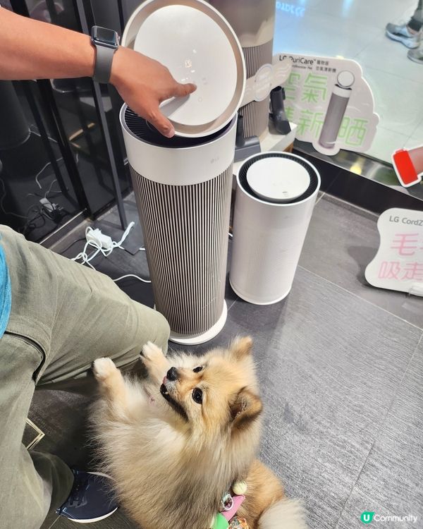LG 韓式喵汪圈:寵物異味研究所🐱🐶 🕵🏻
