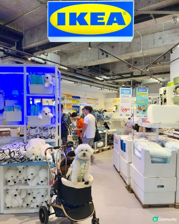 啟德IKEA開倉！打卡必到！🤩