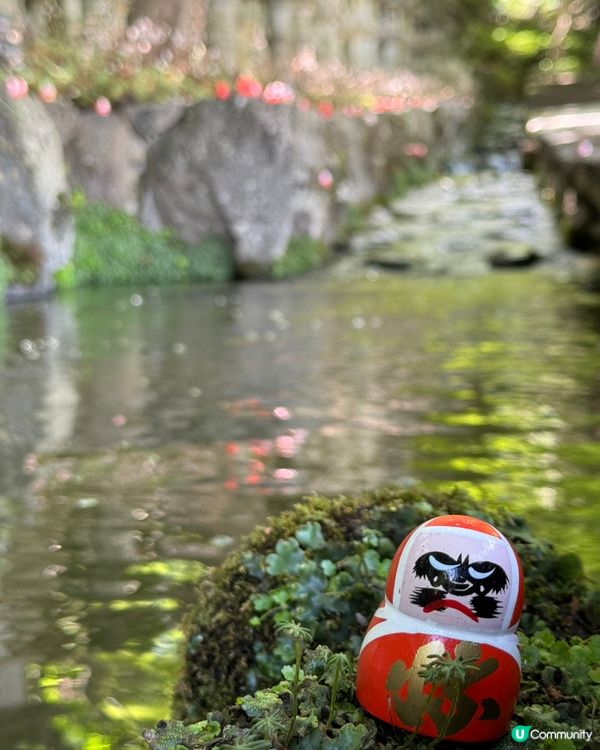 大阪好去處 - 超多達摩嘅勝尾寺