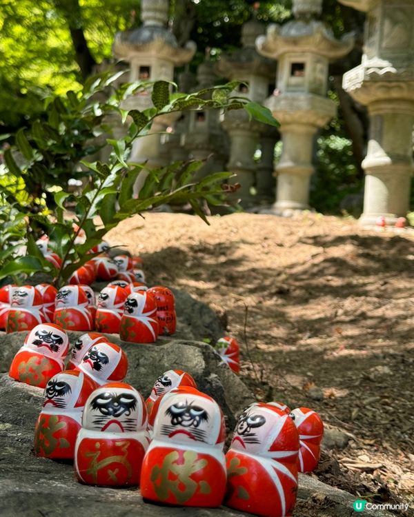 大阪好去處 - 超多達摩嘅勝尾寺