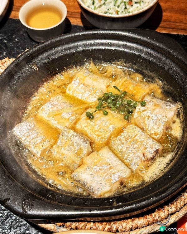 煲住海鮮真係正！🦞😋