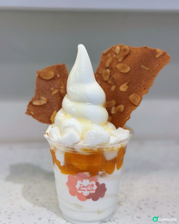 [中環］自家製低糖低脂超棉密乳酪雪糕🍦