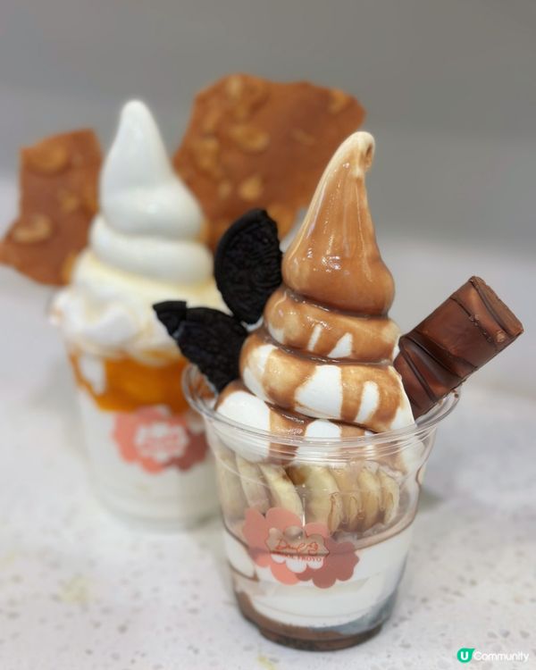 [中環］自家製低糖低脂超棉密乳酪雪糕🍦
