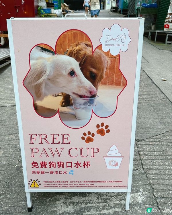 [中環］自家製低糖低脂超棉密乳酪雪糕🍦