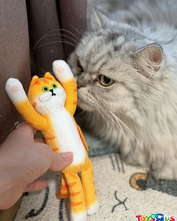 貓奴心水！🐱台灣盲盒登場！✨