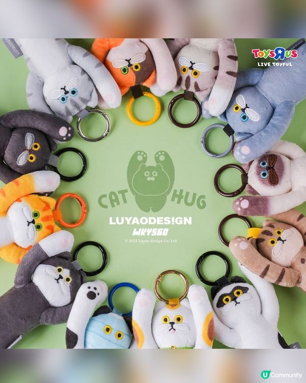 貓奴心水！🐱台灣盲盒登場！✨