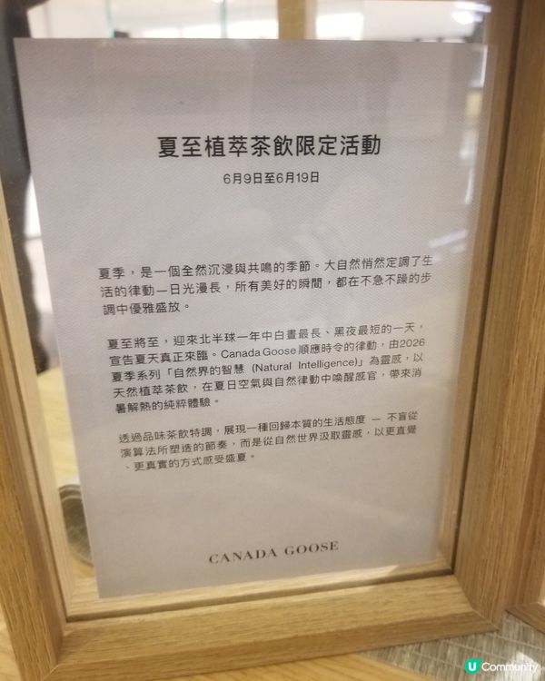 免費冬瓜茶