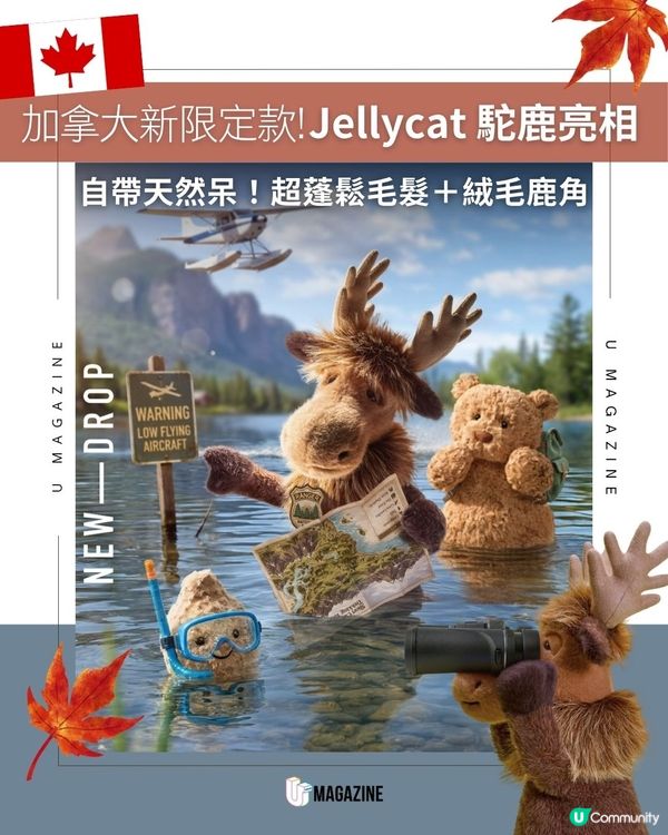 加拿大限定新款!Jellycat 駝鹿亮相！自帶天然呆！超蓬鬆毛髮與絨毛鹿角                                                    