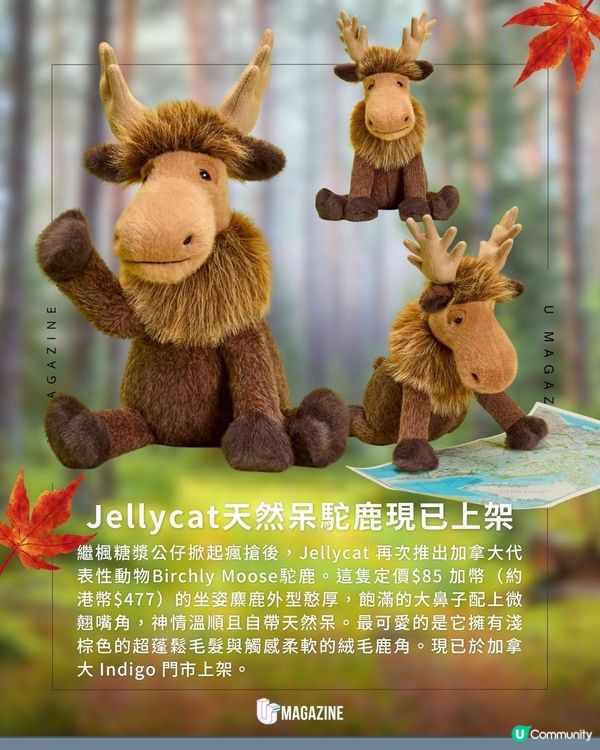 加拿大限定新款!Jellycat 駝鹿亮相！自帶天然呆！超蓬鬆毛髮與絨毛鹿角                                                    