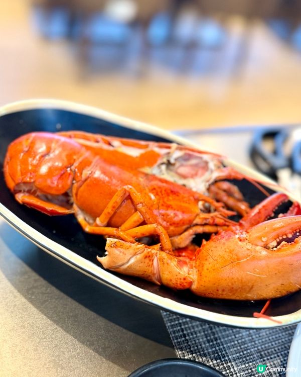 請爸爸食豪！鮑魚和牛任食！🥳🥩🦀