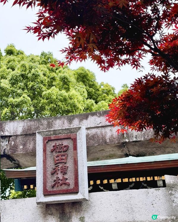 福岡市內著名的人氣古老神社