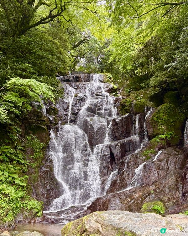 北九州一日輕旅行提案!是次由博多出發,沿絲島､佐伯市､桐廬縣...