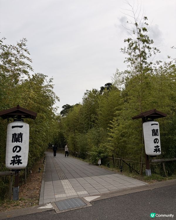 北九州一日輕旅行提案!是次由博多出發,沿絲島､佐伯市､桐廬縣...