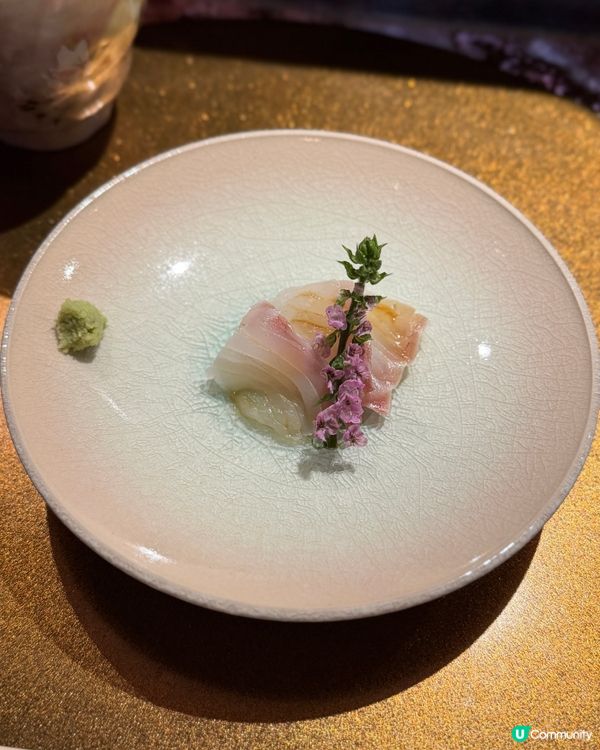 黃金一口蠔!!😍🐟 銅鑼灣必試！