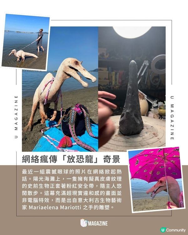 牽著寵物恐龍在沙灘散步？不是CG！這隻粉紅牽繩巨獸竟然是真的                                                    