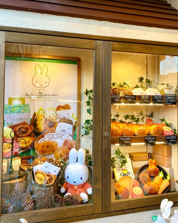 『日本』Miffy森林小木屋🌲🐰粉絲絕對必訪朝聖😍