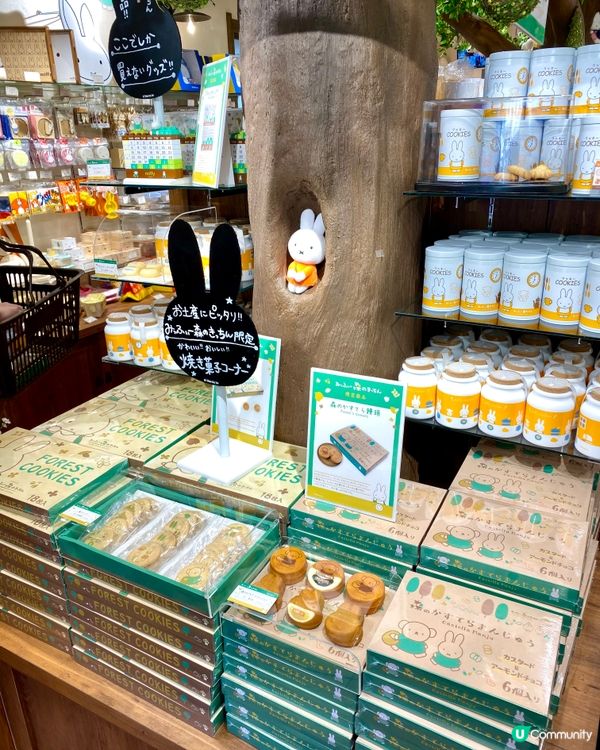 『日本』Miffy森林小木屋🌲🐰粉絲絕對必訪朝聖😍