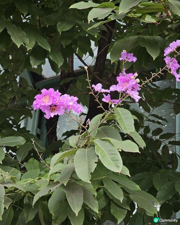 花開花落知多少
