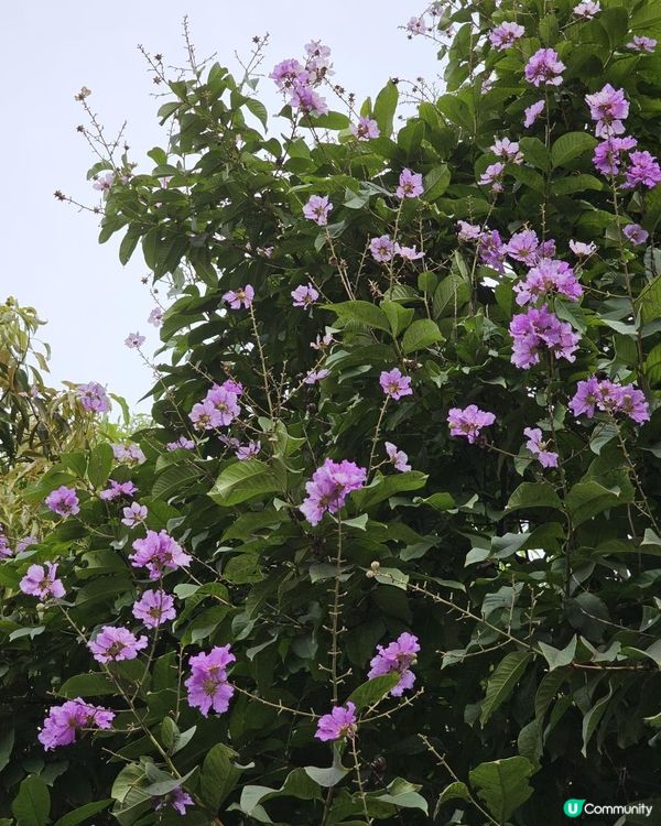花開花落知多少