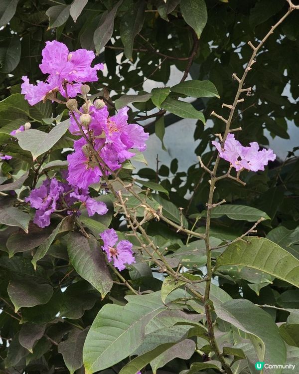 花開花落知多少