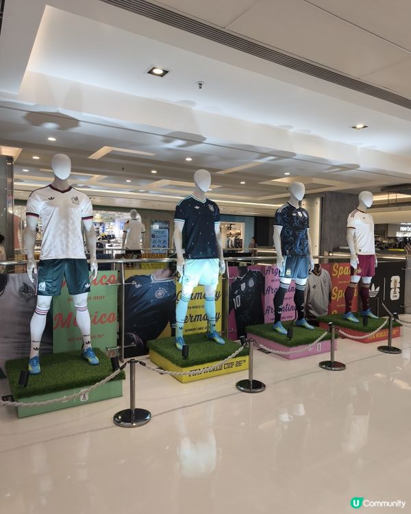 朝聖球盃 🏆⚽️