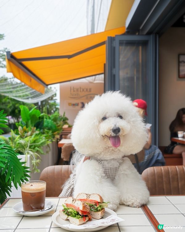 貫通東岸板道同商場嘅cafe 咖啡bagel 皆出色