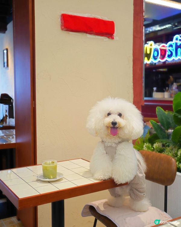貫通東岸板道同商場嘅cafe 咖啡bagel 皆出色