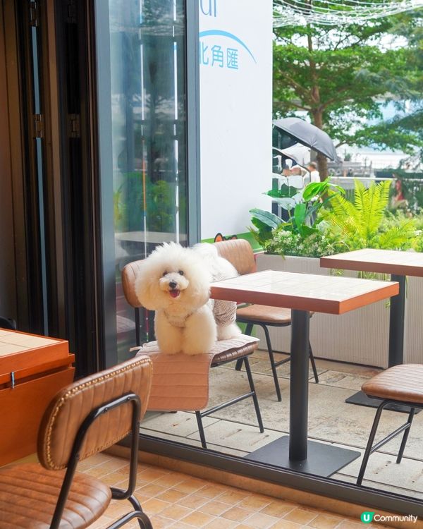 貫通東岸板道同商場嘅cafe 咖啡bagel 皆出色