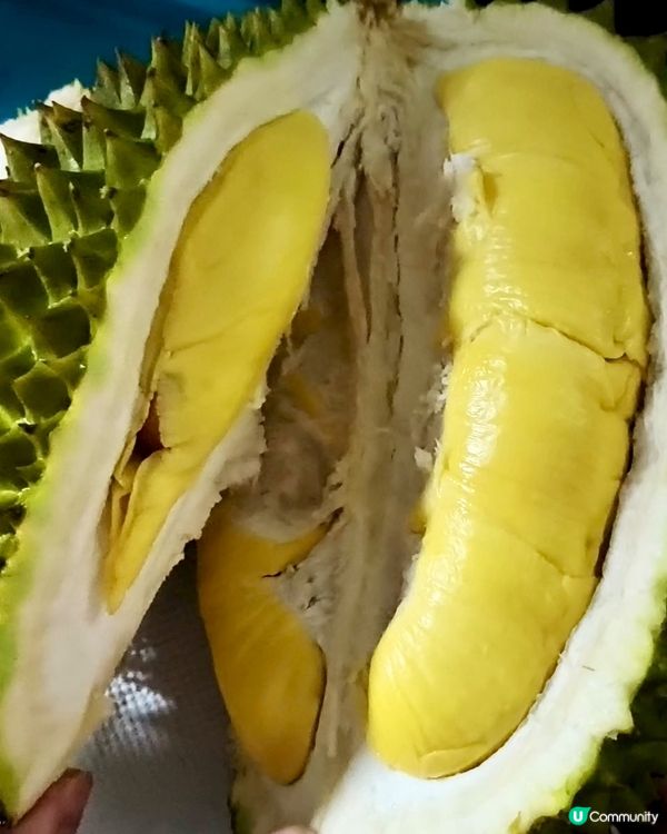 邊個話生日一定要食蛋糕？今年要『榴槤』忘返！