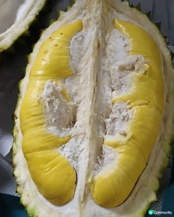 邊個話生日一定要食蛋糕？今年要『榴槤』忘返！