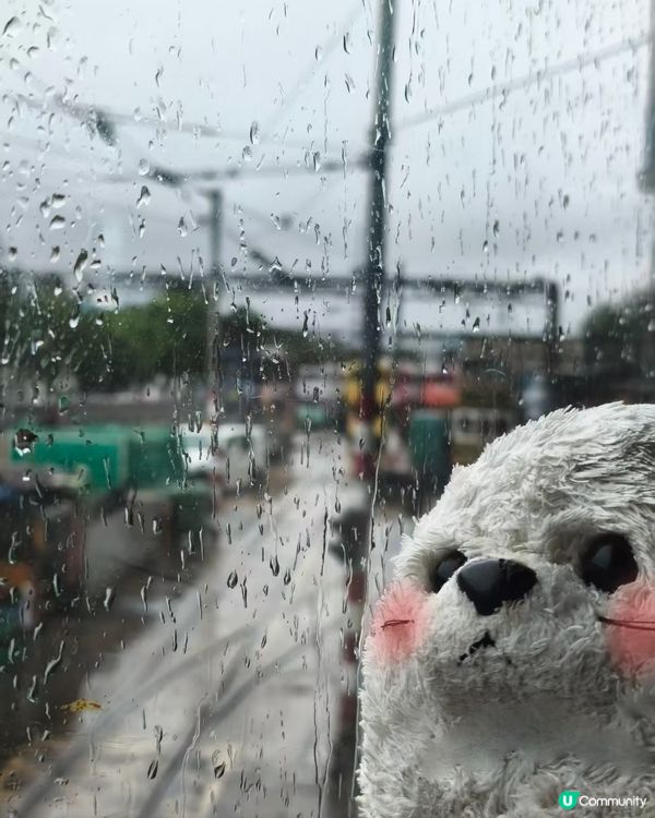 一起塔海南叮叮車！🚋