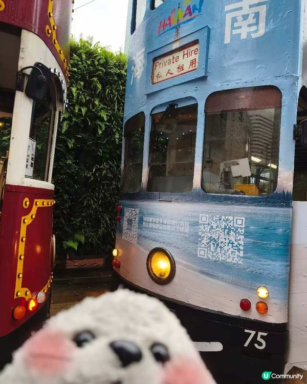 一起塔海南叮叮車！🚋