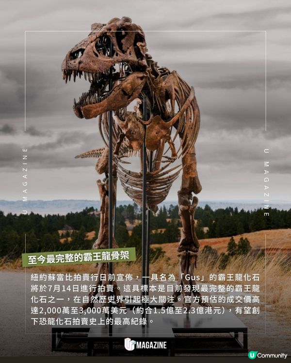 最完整的霸王龍「Gus」即將拍賣｜ 挑戰歷史新高！估價高達2.3億港元                                                    