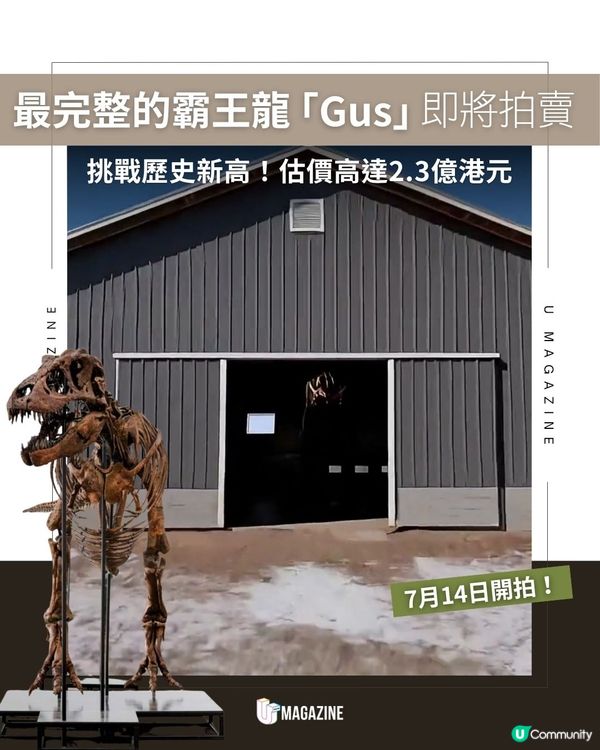 最完整的霸王龍「Gus」即將拍賣｜ 挑戰歷史新高！估價高達2.3億港元                                                    