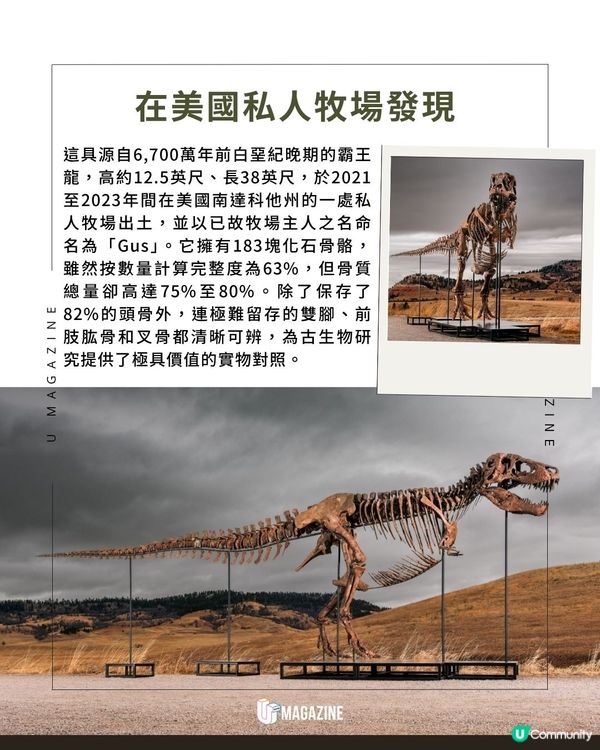 最完整的霸王龍「Gus」即將拍賣｜ 挑戰歷史新高！估價高達2.3億港元                                                    