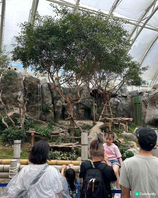 ☔ 黎緊海洋公園！🐼💖