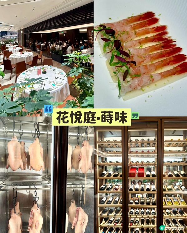🏙️ 香港 1/3 價錢歎米芝蓮/黑珍珠級神店!PA MAL...