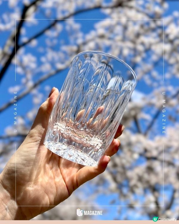 日本熱賣仿玻璃防摔矽膠杯                                                    