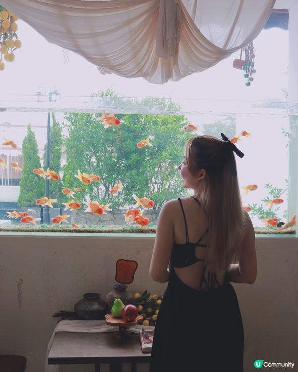 深圳打卡cafe