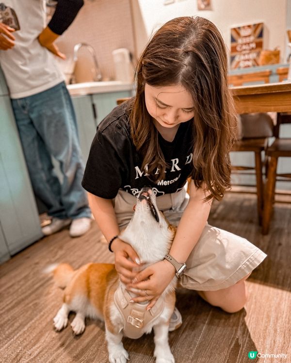 ❝ 🇹🇼奶油先生˚ ༘ 超可愛柯基小店長🐕 ❞
