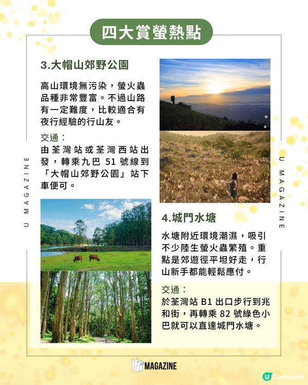 香港夏季螢火蟲觀賞全攻略                                                    
