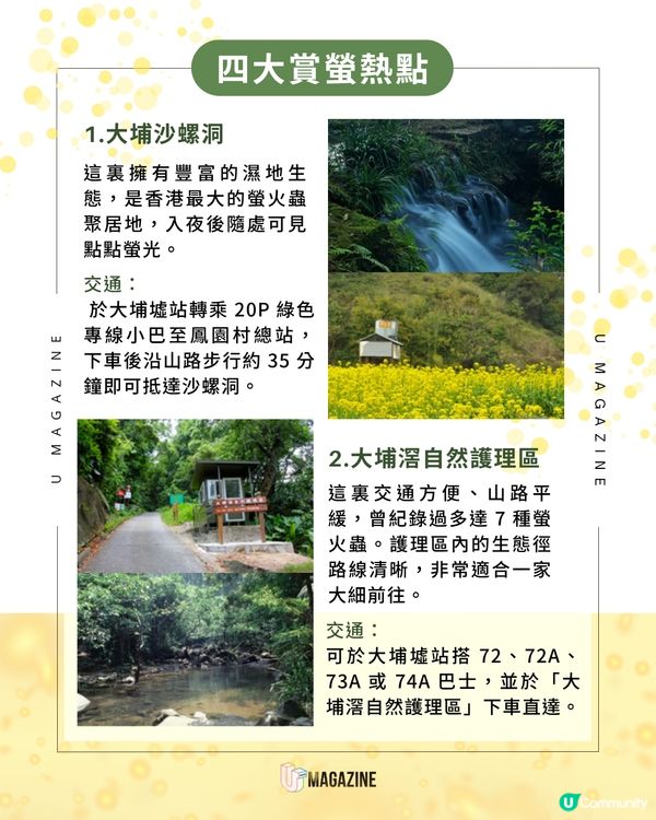 香港夏季螢火蟲觀賞全攻略                                                    