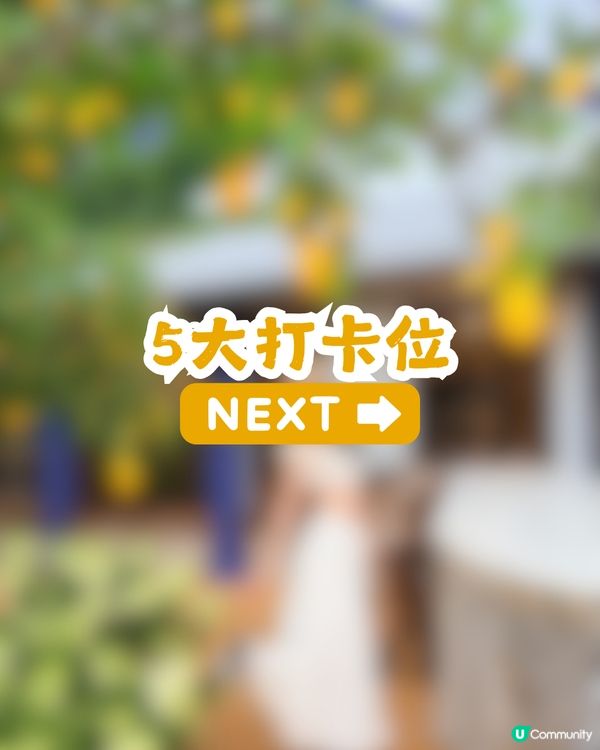 深圳版「檸檬小鎮」Cafe🍋低至¥88! 附5大打卡位及交通攻略