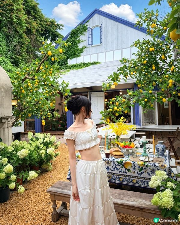 深圳版「檸檬小鎮」Cafe🍋低至¥88! 附5大打卡位及交通攻略