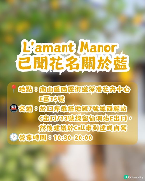 深圳版「檸檬小鎮」Cafe🍋低至¥88! 附5大打卡位及交通攻略
