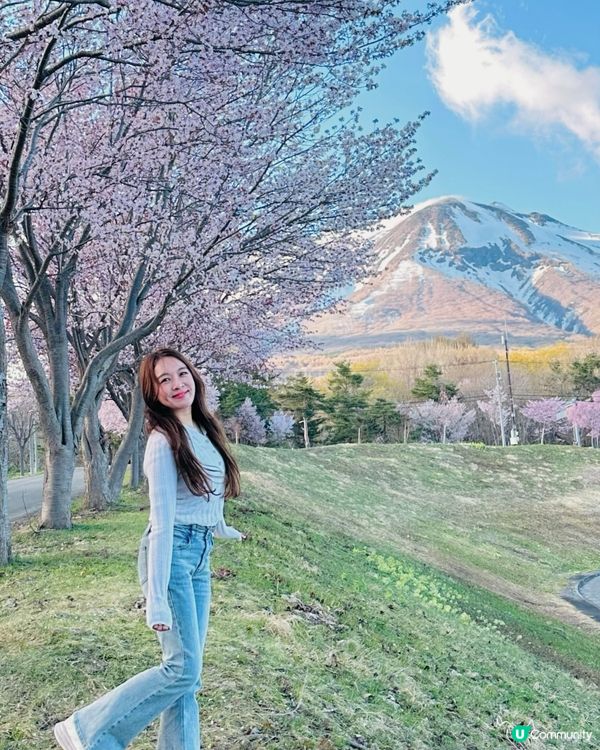 🇯🇵 日本東北的｢小富士山｣小秘景也太美! 🌸