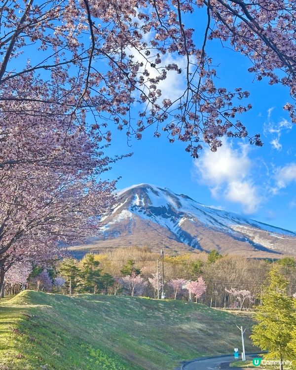 🇯🇵 日本東北的｢小富士山｣小秘景也太美! 🌸