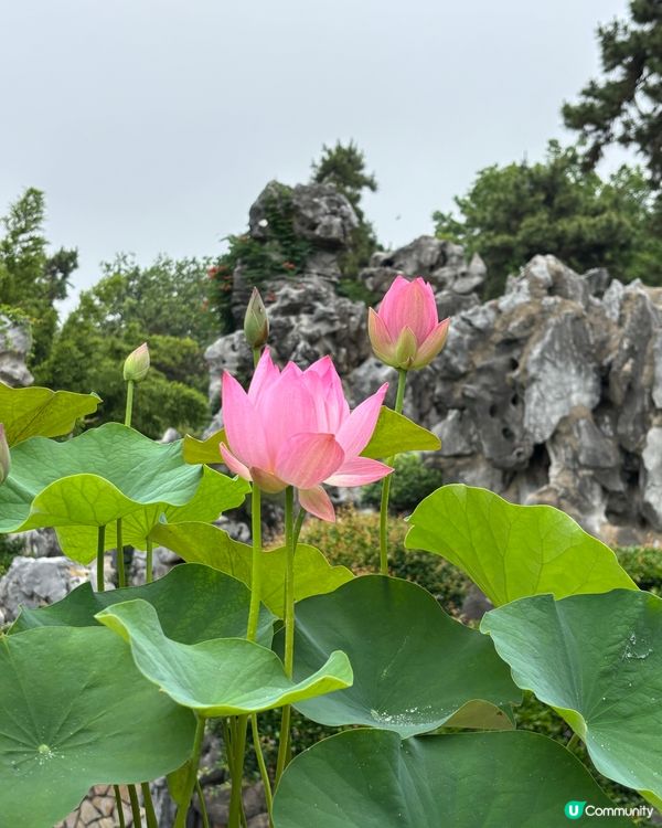 自然